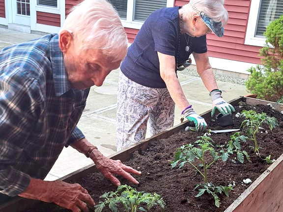 seniors gardening