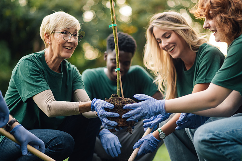 volunteers planting tree